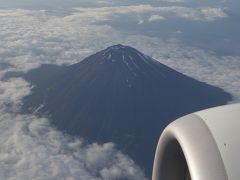 ボーイング737-800に乗りました。成田－中部の便NH337。富士山がよく見えました。