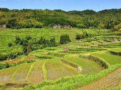 内成棚田　2018初夏