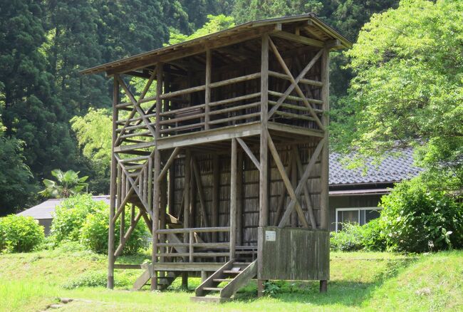 2018梅雨、島根の名所(9/15)：6月25日(5)：石見銀山(1)：石見銀山、紫陽花、立葵