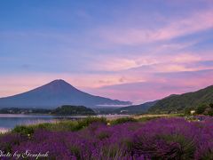 ２０１８年山中湖ロッジ滞在記（２）６、7月編：今回も花と富士山を撮り歩く