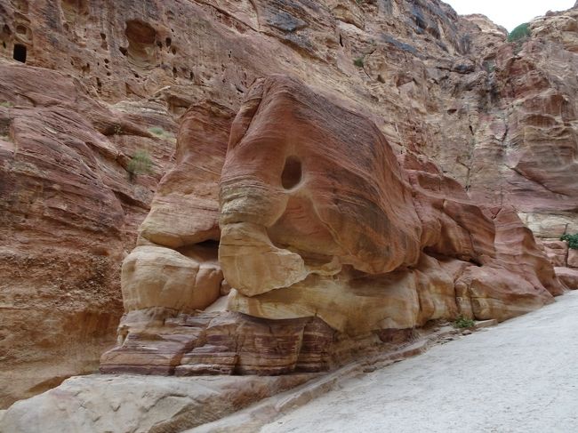 Wadi RumからPetra busでWadi Musaのバスターミナルへ到着。<br />手配して貰った車でペトラでのホテルへ運んで貰います。<br />early check inさせて貰い、部屋で荷ほどき&2日振りのシャワー!<br />さっぱりしたぁ~のはずが、ここでトラブル発生。<br />余計な時間と労力を使う羽目になってしまいました。<br />でも、結果この出来事でこのホテルの良さを最大限に感じる事になります。<br /><br />色々あったけど、準備を整えてペトラへ出発です。<br />ゲートへ行く前に、アンマンへのバスターミナルに寄り、チケットの手配を試みます。<br />その後、ペトラゲートで3日券を購入するのだけど、ここでも思いもよらない事がありました。<br />ちょっと不機嫌になりつつも、Siqを歩きます。<br />Siqそれ自体感動的な景色だけど、ここは前回何度も通り、写真も一杯撮っています。<br />一心不乱にTreasuryを目指して歩き、ついにあの景色が…。<br />あれっっ?<br />思いもよらぬ事が起こりました。<br /><br />SUN.2018-04-22 日本出発<br />MON.2018-04-23 香港 - テルアビブ - エイラット - アカバ<br />TUE.2018-04-24 アカバ - ワディ・ラム<br />WED.2018-04-25 ワディ・ラム<br />THR.2018-04-26 ワディ・ラム - ペトラ ◎<br />FRI.2018-04-27 ペトラ<br />SAT.2018-04-28 ペトラ - アンマン<br />SUN.2018-04-29 アンマン<br />MON.2018-04-30 アンマン - ネボ山 - マダバ - マイン - 死海 - アンマン<br />TUE.2018-05-01 アンマン - エルサレム<br />WED.2018-05-02 エルサレム<br />THR.2018-05-03 エルサレム - ベツレヘム - エルサレム<br />FRI.2018-05-04 エルサレム - テルアビブ - 香港<br />SAT.2018-05-05 香港 - 帰国<br />
