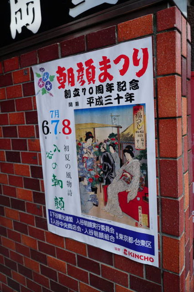 東京の夏の風物詩のスタートといえば、今日から3日間の朝顔市。<br /><br />地下鉄・東京メトロ日比谷線の入谷駅・2番出口を登って行けば<br />眼の前は鬼子母神前。<br /><br />浴衣のお客さんはほとんど外国の観光客。<br /><br />価格は２千円ぐらいからスタート。<br /><br />咲いた状態を見たい人は朝一番の訪問がお勧め。<br /><br />&lt; http://www.asagao-maturi.com/ &gt;