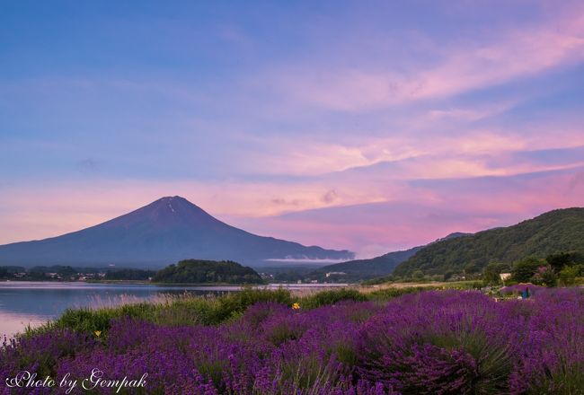 ２０１８年山中湖ロッジ滞在記（２）６、7月編：今回も花と富士山を撮り歩く