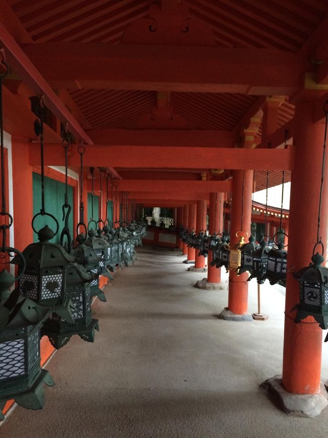 1日目:興福寺→東大寺→若草山→手向山神社→春日大社<br />2日目:喜光寺→西大寺→薬師寺→唐招提寺→橿原神宮→飛鳥寺→飛鳥坐神社→橘寺<br />3日目:平安神宮→岡崎神宮→永観堂→南禅寺→大豊神社