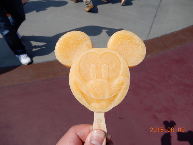 お泊まりディズニーで人気のおすすめ旅行記 ブログ 国内 フォートラベル