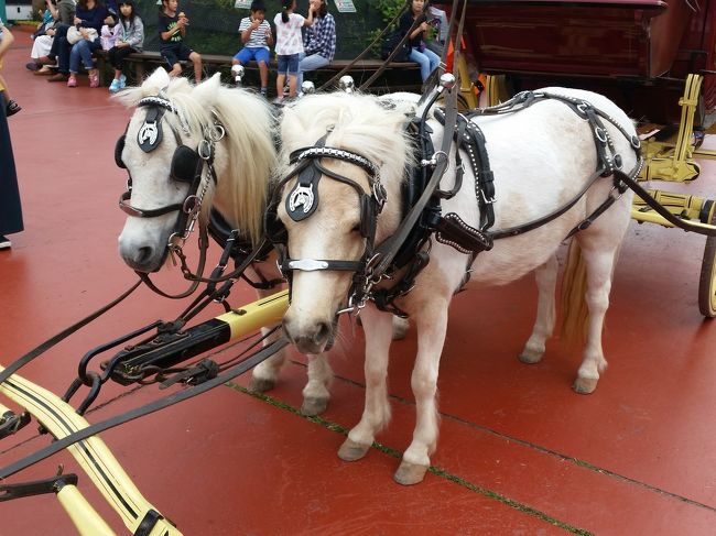 毎年恒例の、息子の定期診察をかねたディズニー旅行。<br />今年ははじめてのディズニーシーへ。<br />スケジュールも毎回同じような感じです。<br /><br />スケジュール↓<br />1日目<br />朝名古屋出発→午後東京着<br />病院診察<br />↓↓↓<br />2日目<br />朝イチから1日ディズニー<br />↓↓↓<br />3日目<br />観光しながら帰路へ