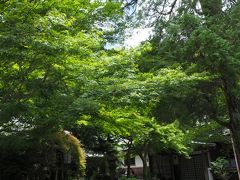 覚園寺　鎌倉の中でも素晴らしい緑の中を拝観　季節毎に訪れたい!　別格の寺院!!!!