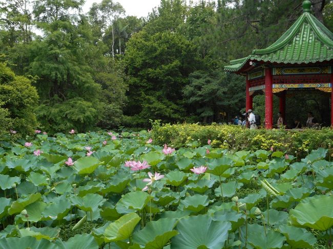 日本脱走計画（台北へ）帰りはキティジェット（１）