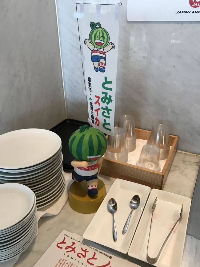 1ヶ月ぶりのスリランカ<br />今回はジェットウィングアーユルヴェーダパヴィリオンに行くよ!