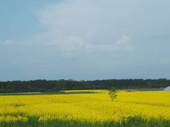 ひかえめな美しさを味わう・・・ポーランド　⑤　★カジミエシュ・ドルヌィからクラクフへ・・・車窓からの風景と、Hotel Unicus★