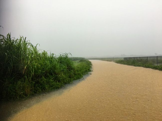 7月4日から2泊3日で宮古島に行って来ました。<br />4日と5日は50年に一度の大豪雨。<br />1時間に120mmの大雨。<br />泣きそうになりましたが、気合いで楽しんで来ました。<br /><br />雨の中でのシュノーケリング<br />市場巡り、島巡り、そこそこ楽しめました。<br /><br />ホテルはシギラリゾートの中のブリーズベイマリーナに宿泊。<br /><br />写真は川じゃないです。<br />道です。<br />ヒヤヒヤのドライブもいい思い出です。