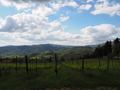 《イタリア》憧れの緑のトスカーナ！初海外レンタカー１人旅④ワイン農家編