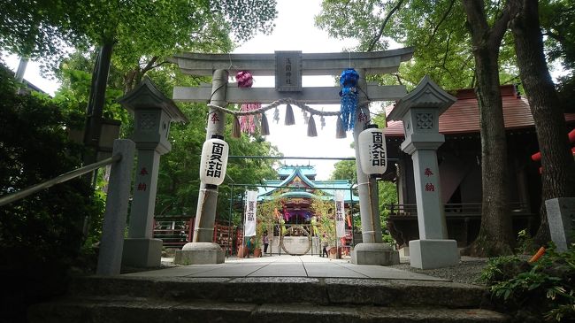 先週に続いて東急東横線沿線の神社にお参りに行ってきました。昨日7日が義父の命日でしたのでそのお参りみたいな感じで参拝しました。<br /><br />~ウィキペディア一部抜粋~<br />全国にある浅間神社の一社。東京都内では唯一の本殿建築様式は浅間造。社殿は浅間神社古墳の上に建てられており、間に東急東横線を挟んで多摩川台公園の舌状台地に連なる。社殿までの参道は多数の溶岩が置かれ、富士塚のように富士登山を模している。<br />富士山本宮浅間大社同様に、木花咲耶姫命を主祭神とし、熊野神社と赤城神社を合祀している。<br />創建は鎌倉時代の文治年間（1185年～1190年）と伝えられる。<br />源頼朝が豊島郡滝野川松崎に出陣した時、夫の身を案じた北条政子が後を追って多摩川まで来た。その時わらじの傷が痛んだため、この地で傷の治療をすることにして逗留した際に亀甲山（かめのこやま）へ登ってみると富士山が鮮やかに見えた。富士吉田には、自分の守り本尊である浅間神社があるので、政子はその浅間神社に手を合わせ、夫の武運長久を祈り、身につけていた正観世音像をこの丘に建てたという。それ以来、村人たちはこの像を「富士浅間大菩薩」と呼び祀ったのが、この神社の起こりとされている。<br />その後、1652年（承応元年）5月に浅間神社表坂の土止め工事をしていた時に、九合目辺りから正観世音の立像が発掘された。多摩川で泥を洗い流すと片足が欠けていたため、新たに足を鋳造して祀り、6月1日に神事を行ったという。これにならい、現在も6月に例祭を行っている。