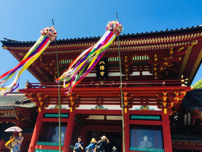 紫陽花の時期に北鎌倉から源氏山を通り鶴岡八幡宮を徒歩でめぐりました。