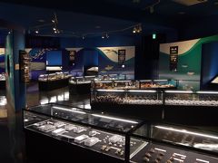 伊豆大島旅行記 観光編 その3　レンタサイクルで貝の博物館へ
