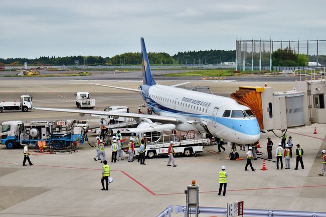 【マンダリン航空成田-台中線、就航おめでとうございます！】<br /><br />2018年6月某日、千葉県某所。<br />友「そう言えば今度、マンダリン航空が台中行きの便飛ばしますよね」<br />私「マジか（知ってたけど）」<br /><br />実は私、飛行機の初便マニアなんです。<br /><br />昔は各種初便を好んで乗り歩いておりました。<br />しかし結婚後、初便の良さを全く理解してもらえないワイフに悉く初便旅行を却下されていた身。以前、イベリア航空が成田に再就航する時も拝み倒し単身0泊2日でマドリードへ行く計画を立てましたが、航空券を手配しておきながら直前に大喧嘩となりボツ。そんな陰で泣いた事案もあり、楽しそうな初便を見て見ぬふりをしておりました。<br /><br />たまたま就航初日である6月14日と翌15日が休みだった事もあり、再度土下座で懇願。<br />再び大揉めし、大喧嘩になりながらも、なんとか出発に至りました。<br /><br />ひゃっほうヾ(*´∀`*)ﾉ