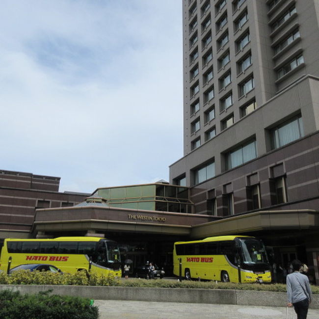 ラウンジのアルコールは２時間勝負 ウェスティンホテル東京 高級ジム体験付き 目黒 東京 の旅行記 ブログ By Wakupaku2さん フォートラベル