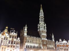ヨーロッパ美術館巡り　―ベルギー・オランダ7日間の旅―