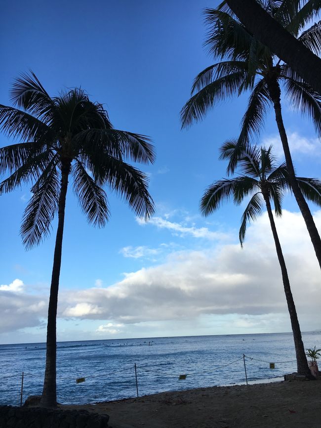 大好きなハワイに、初のひとり旅。ひとりでもちゃんと楽しめましたよ～。