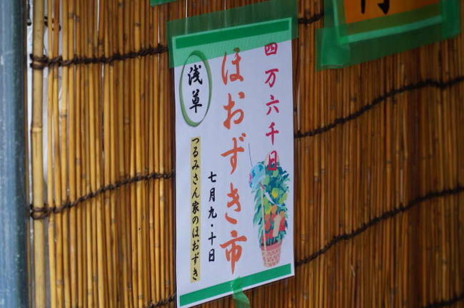 先週の朝顔市に続いて今週はほおずき市。<br /><br />2018年は7月9日と10日に開催。<br /><br />この時期の拝観は4万6千日に相当するという。<br /><br />浅草寺の門前に植木鉢が並ぶ。<br /><br />ほおずきのおねだんは1鉢2500円から。<br /><br /><br />< https://youtu.be/WoS6r3Mdqew ><br /><br />< http://www.gotokyo.org/jp/kanko/taito/event/hozmaturi.html >
