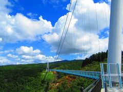 恥ずかしがり屋の富士山はずっと顔を隠したままだった。中伊豆・三島友達旅　part３