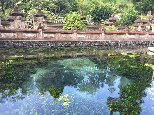 ティルタウンプル寺院は世界文化遺産です。<br />多くの観光客と現地の人が寺院を訪れます。 この寺院には神聖な湧水が湧いていて、この湧水は聖水としてバリヒンドゥー教の祈りの時、または儀式等に使用されています。 自分自身を清める為に多くの人が沐浴をします。特に満月、新月の時はパワーがアップすると言われているので、その日に沐浴をする事をお勧めします。<br />またこの泉に住むうなぎを見ると、幸せになれるとも言われていますので、ぜひ探してみてください!<br />私は何度もお客様を案内してティルタウンプル寺院を訪れていますが、未だ幸せのうなぎには出会えてないです。残念<br />http://karismabalitour.com/index_jp.html