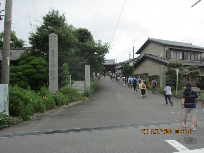 名鉄前後駅をスタート、知多四国第１番札所の「曹源寺」を参拝し、大府みどり公園を抜け、花が咲くウォーキングトレイルを通り、二ツ池自然生態園にて生き物を観察。　近くには、大府市自然体験学習施設の、二ツ池セレトナがあります。　大府駅に向かう途中の、桃山公園と大倉公園では、つつじ祭りが開催されていました。　