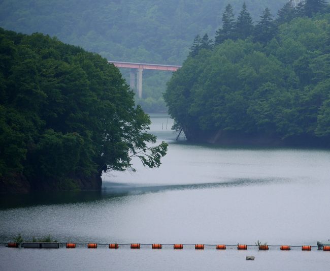 1136　漁川ダムへ．前にも見学した何の変哲もないダムかと思っていたら，非常に重要な治水ダムであることが資料室でわかる．今回も西日本の水害が大変だったが，2014年9月の集中豪雨　ラルマナイの滝のの橋が流された時のこのダムの役割が展示してあった．日本は温暖化の中でバックビルディング現象がおこり易くなっている．治水が大切なことを勉強した　係員の人が「いまはやりの」といってダムカードをくれた．ラッキー<br />ダムを出たらすぐに豪雨に見舞われる．恵庭市内の花の庭のおうちを見て回る予定だったがこれでは到底無理！そのまま千歳空港へ<br />空港ではみそラーメンが食べたかったので一番空いていた梅光軒．旭川ラーメンの店へ　醤油にすればよかった　味噌は可もなく不可もないような比較的あっさりとした味だった<br />NH66便で帰京　昨日来日したフィンランド人と夕食をとる予定だ