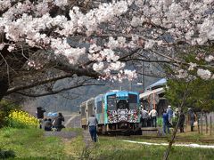 桜の咲き誇る三江線 2018 ～引退2日前～（島根県川戸）