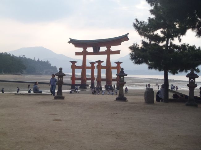 娘が高校2年生となり、恒例の修学旅行に行っている間も夫婦旅行に行きました。今年は10月ではありますが結婚25周年(銀婚式)となり、奮発して「JRフルムーンパス」を使って、グリーン車の旅にすることにしました。5日間有効で2人分で82800円。<br /> 行き先は、娘が山口・広島へ行くので、中国方面に行くことになり、せっかくなので道後温泉も行きたいね、ということになり、以下のコースで旅行をしました。<br />1日目:尾道散策・ラーメン食べよう→しまなみ海道を通って→道後温泉・泊まって宇和島鯛めし。<br />2日目:広島原爆ドーム・お好み焼き食べよう→宮島・カキとあなご飯食べよう→広島で泊まる。<br />3日目:倉敷散策・フルーツ食べよう→帰宅。