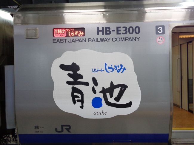 ☆初めての大人の休日倶楽部パス☆　宮古島から東京　秋田　盛岡　米沢　No２盛岡編