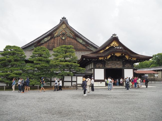 タイトルの通り、高校生の時に修学旅行で訪れた京都に今回約30年ぶりにやってきました。もちろんそれまで仕事では何度か来た事はありましたし、京都競馬場に遠征して、ナリタブライアンの3冠達成を見に行ったなんて事もありましたが、いわゆる観光旅行として来るのはホント久しぶり。<br /><br />京都には、台湾オフ会でお世話になっている『まあちゃん』もおられるので、行かねばとずっと思いつつも、爆発的な数の外国人観光客に恐れおののき、行く行くサギの如くなかなか足が向かなかった次第ですが、ちょうど今年、会社の勤続X年記念とやらで、JTB旅行券5万円分を記念品として頂いたので、これで行ける所～とJTBサイトで検索していたら、新横浜ー京都間新幹線＆京都2泊ホテル代のセットで消費税込み”\49,900”と、世界まるごとHowマッチならニアピン賞2本もらえるような組み合わせを発見！<br /><br />そんな感じで、6月の週末に2泊3日で訪れた京都の旅行記となります。<br /><br />一日目は新幹線で京都に移動した後、今回の宿泊ホテルの一番近くにある世界遺産、加えて日本百名城にも登録されている二条城を訪問。<br />そして、夜はなぜか京セラドームに移動し、バファローズvsベイスターズの交流戦観戦。京都旅行記なのに変なタグがくっついているのはその影響です<br /><br />だったら大阪に泊まれよ！っていう話なんですが、49,900円以上の組み合わせが見つからなかったもんでご容赦頂きたく考えておりもす（西郷どん）。