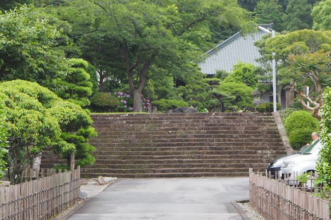神奈川県鎌倉市岩瀬1464<br />2017.6.28 <br /><br />旅日記のタイトルが 大げさ!だったかな。<br /><br />まず お寺さんへ訪れてびっくりするのが<br />この階段なんです。<br /><br />横に10メートル位あるかな?<br /><br />横に 長ーい幅で作られています。<br /><br />こちらは<br />浄土宗 ご本尊さまは 阿弥陀如来 室町時代の作<br /><br />開基 北条綱成<br /><br />近くには 北条氏拠点とする玉縄城がありました。<br /><br /><br />徳川家康との関わり・・・<br /><br /><br />豊臣秀吉の小田原征伐が始まり、<br />周囲は 徳川家康に包囲されてしまいます。<br /><br />この近くも家康勢の現地調達で食料などが召し上げられてしまい<br /><br />農民の食べる物等が無くなってしまい<br />困り果てていた。<br /><br />その際 こちらの寺の住職が北条氏を説得し、開城させた!<br />と言うから びっくりです!<br /><br />中興の祖「暁誉源栄」(4代住職)は<br /><br />岡崎の松平家菩提寺「大樹寺」で修行をしていた為<br /><br />家康公とは 大変親しい関係にあったんですって。<br /><br />家康が江戸に入城した後も<br /><br />家康公が通りがかった際には<br />藤沢まで家康公に会いに行ったりしていたそうな!<br /><br />そして ご住職と家康との交流が続き<br /><br />徳川家が菩提寺を「増上寺」に変えた際には、<br /><br />家康公とその父松平廣忠の位牌を作らせて貰ったと言うことです。<br /><br />家康公と父 宏忠の二人の位牌をお祀りしてあるのが「宝蔵」と言うことです。<br /><br />家康が死去する際には<br />駿府に呼ばれ、その遺言を受けました。<br /><br /><br />なんとまあ! <br />鎌倉にも 沢山の 徳川家との 繋がりのある場所が<br />沢山あるのですねえ。<br /><br />お庭は 手入れがされており<br />気持ちの良い 境内でした。<br /><br /><br /><br /><br />
