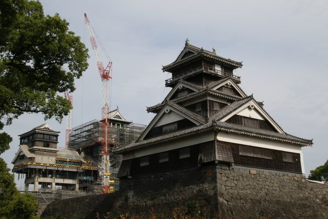 復興支援は、「あわてず」「楽しく」「押し付けにならないように」がモットー。<br />九州新幹線に乗りたい口実も手伝って、日常ではなかなか堪能できない熊本グルメを中心に、地元民に溶け込んで楽しみました。