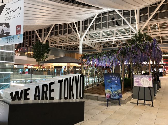 女一人旅４回目は初めてのビジネスクラスでシンガポール＆バリ島　５泊７日　１日目－１　羽田空港→シンガポール到着編