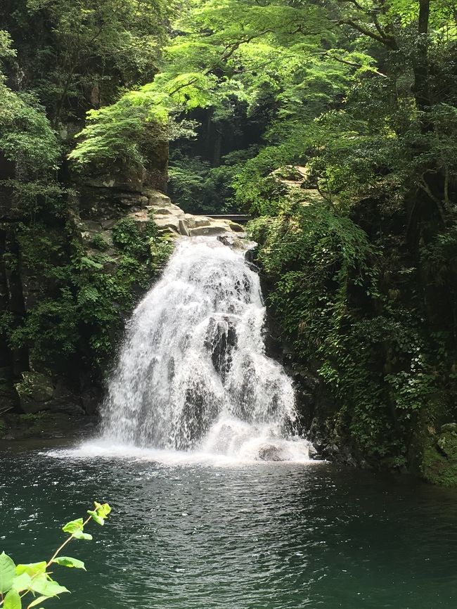 暑い日が続き涼とマイナスイオンを求めて<br />赤目四十八滝に行ってみました。<br />オオサンショウウオも初めてみました。<br />