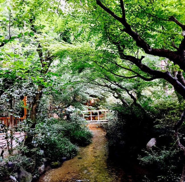 いよいよ愛媛旅もラストとなりました<br />今日はどこ行こ~ 気になってた内子の街並みをぶらり<br />砥部焼を探しに窯元へ<br />そして<br />旅のさいごはめちゃくちゃ贅沢しようぜ!と老舗の「道後温泉ふなや」さんにお世話になりました