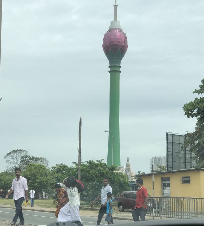 帰るよ~<br />買いものしすぎた<br />http://goronekone.blogspot.com/2018/07/colombo.html