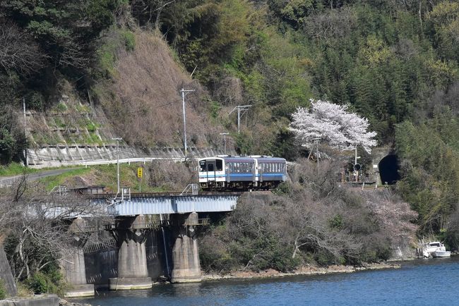 三江線最終列車走行まで「あと１日」。<br /><br />午前中、江の川の河口にある江津本町駅まで江津から歩いて行きます。<br />河畔にある小さなホームには１本桜が佇み、ちょうど満開になっている姿は三江線の最後を祝福しているかのように思えます。<br />江津本町駅の少し先に行くと、三江線が江の川とともに大きくカーブしているところがあり、ここを走るディーゼルーカーは素晴らしいパノラマの景色です。<br /><br />江津駅前の「パレットごうつ」では、「なつかしの三江線写真展」を開催しており、昭和49年当時のSL・C56（シゴロク）の写真が展示されています。<br /><br />なお、旅行記は下記資料を参考にしました。<br />・日本マンホール蓋学会「江津市のマンホール」<br />・山陰中央新報の「ありがとう三江線」（パレットごうつ）<br />・江津市「天領江津本町甍街道」、島根県立大学生徒「甍街道マップ」<br />・島根県建築士会江津支部「江津本町甍街道 本町散歩」、島根県「夢街道ルネサンスの取り組み」<br />・江津工業高校ボート部「江の川」<br />・JR西日本米子支社「2018年春ダイヤ改正について」<br />・パレットごうつ「なつかしの三江線写真展」<br />