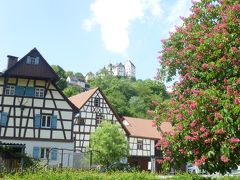2018年ドイツの春：⑦フランケン・スイス地方の古城群：100mの高さの岩壁に立つ古城エグロフシュタイン城の姿は絵画的な美しさである。