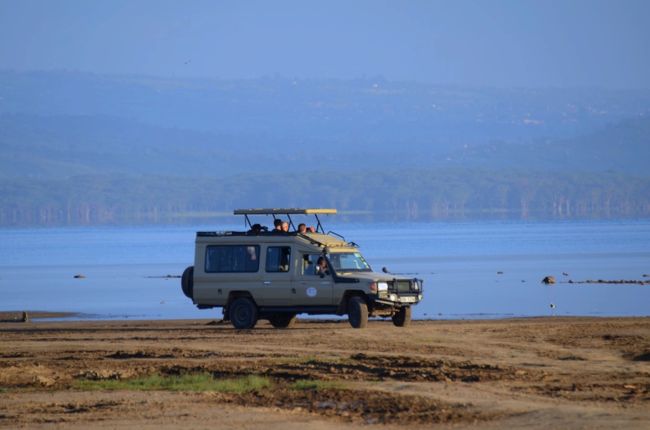 こんにちは、歩ingです。<br /><br />ケニア de サファリ 2017 の第２弾は旅程の2日目と3日目。<br />この2日で３つの湖を巡ります。<br />それぞれ違ったサファリなので、その魅力を楽しんでください。<br /><br />＜旅程＞<br />１日目：関空からバンコクとドバイを経由してナイロビへ（ナイロビ泊）<br />２日目：ナイバシャ湖でボートサファリ、そしてナクル湖へ（ナクル湖泊）<br />３日目：ボゴリア湖でフラミンゴ鑑賞（ナクル湖泊）<br />４日目：マサイマラへ（マサイマラ泊）<br />５日目：マサイマラでゲームドライブ（マサイマラ泊）<br />６日目：マサイマラでゲームドライブ（マサイマラ泊）<br />７日目：マサイマラでバルーンサファリ（マサイマラ泊）<br />８日目：ナイロビへ戻り、夜便でドバイへ<br />９日目：ドバイ、そしてバンコクで乗り継ぎ<br />10日目：早朝に関空到着<br />