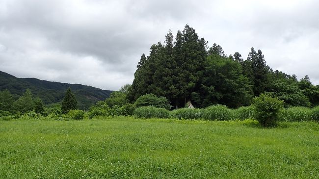 初めて「遠野物語」を読んだのが高校生の時…以来40年近く、「遠野」はずっと「いつか行ってみたい憧れの地」で…けど、超絶出不精(笑)だった若い頃(^_^;)は、物理的にも精神的にもあまりにも遠く、近年旅行の楽しさに目覚め、ツアーに多々参加するようになってからも、遠野を巡るコースはそうそう設定されておらず…下手したらこのまま一生憧れのまま終わりそうな気配も漂っていた訳で(^◇^;)<br />んが!!実はごくごく簡単なことだったのよねん(^^ゞ<br />「自分で行けばええやん自分で(^_^)v」<br />…ということで(^.^)<br />毎度お世話になってる(笑)スカイマークと、運転嫌いの夫に全てを託して(爆)ついに足を踏み入れることができた「日本の原風景」、彼の作品が書かれた時代とは、随分景色も変わってしまったとは聞くけれど、それでも確かに、この地には何か特別な時間と空間が存在している気がする…と確信できたよん(*^。^*)<br />そんな遠野の初体験旅、あわせてこちらも外せない「宮沢賢治」の花巻と、やっぱり温泉もねん(^_-)-☆な4泊5日…毎度少しでもどなたかの参考になれば幸いです(*^。^*)<br /><br />宿泊<br />1日目 コンフォートホテル仙台東口<br />2日目 あえりあ遠野<br />3日目 B&Bくら乃屋<br />4日目 鉛温泉 藤三旅館