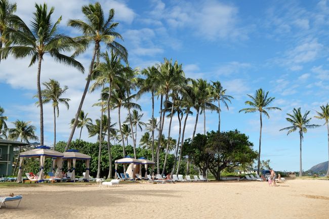 長男6歳、次男4歳で念願の初・海外家族旅行!<br />行先は夫婦とも大好きなアジアのリゾート地と迷いましたが、せっかくの初海外。<br />来年には長男が小学校入学で、安い時期の旅行は難しくなるし、<br />どうせならパーッと派手に(笑)旅行しちゃおう!ということで、ハワイに決定!<br /><br />夫婦とも元々は個人旅行派ですが、子連れは何かと制約が多いので、今回はJTBを利用。<br />結果的にルックJTBの特典を使い倒す旅になったので、この選択は正解でした。<br /><br />旅の記録を5回に分けてご紹介していきます!<br /><br />①日目:AM到着、カラカウア大通り&ワイキキビーチ散策、シェラトンワイキキ泊<br />②日目:パンケーキ朝食、シェラトンのプール、ノースショア観光<br />③日目:シェラトンのプール、ホテル移動、カハラモール、カハラホテル泊<br />④日目:ハナウマ湾、カハラモール、ホテルでのんびり、カハラホテル泊<br />⑤日目:AM出発<br />