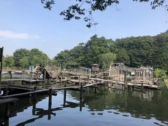 夏休み前の夏遊び！はじめての清水公園フィールドアスレチック