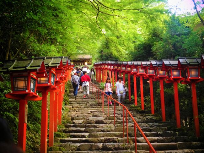 夏がベストシーズンともいえる貴船神社、一度行ってみたかったんです。<br />京都駅から離れているので、清水寺や金閣寺といった中心エリアと一緒に訪れるのが難しく、ついつい先延ばしにしてしまっていました。<br /><br />鞍馬寺から貴船神社に向かうのが定番コースのひとつということで、ちょっくらハイキングしてまいりました。<br /><br />夏でも比較的涼しいですし、特別な山装備もいらない、人も多すぎない、何より神秘的。個人的には、鞍馬寺も一緒に行って本当に良かったです。<br /><br />【一日のながれ】<br />・11:30　出町柳駅近くでランチ<br />・13:00　叡山電車で鞍馬駅到着、ハイキングスタート<br />・15:00　貴船神社到着<br />・15:45　神社からバスで貴船口駅へ、叡山電車で出町柳へ戻る