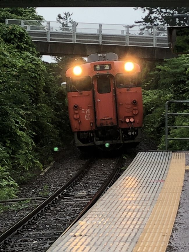 4tr質問で夏の扉さんtravel さん他4travel皆様にご回答頂きまして 無事五能線堪能出来ました。<br />ありがとうございます。<br /><br />リゾート白神は1ヶ月前の予約しないと乗車難しいと?!<br />もう既に1カ月切ってるし各駅でもいいやなんて<br />時刻表見たら列車殆どなく<br />時刻表で睨めっこし下記のようなプランを考えました。<br /><br />各駅 ウェスパ椿山8:59→千畳敷9:58 <br />2号 クマゲラ 千畳敷10:31→ウェスパ椿山到着11:16<br /><br />急いで みどりの窓口へ なんと8席しかない BOX席も空いてるとの事<br />ラッキー!<br />皆さまありがとうございます。<br /><br />雨だったせいか 景色も特筆すべきものはありませんでしたが、乗車40分づつ 各駅もリゾート白神で乗車を愉しめ 3度の千畳敷海岸(笑笑<br />そして 橅 青池と3種類に遭遇 並走もできラッキーでした!<br />