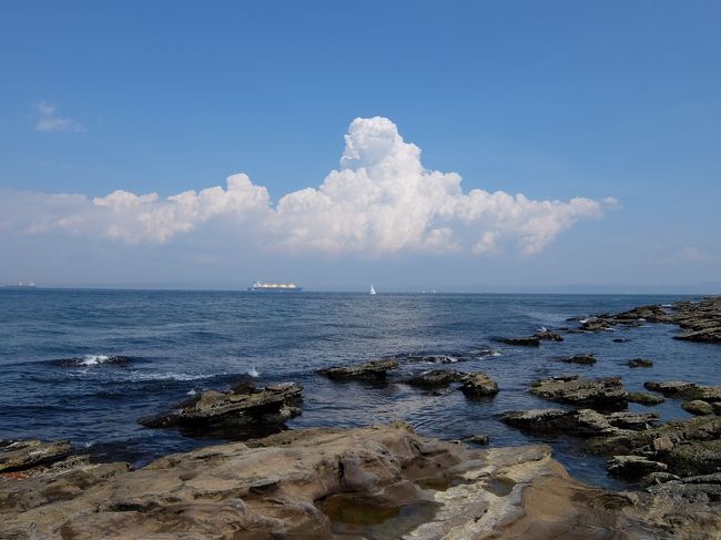 7月15日はごろ合わせで内航船の日。そして7月第3月曜日は海の日(もともとは7月20日)。<br />というわけで?東京湾の入り口浦賀水道を行き来する船を見に観音崎へ行ってきました。<br />日本で最初の洋式灯台である観音埼灯台の起工日である1868年から数えて今年は150周年。<br /><br />砂浜で遊んだり、灯台に登ったり、そして海を往く船を眺めて温泉に浸かる一日でした。<br />移動は横須賀駅前のレンタサイクルなどを利用。渡し船にも乗りました。