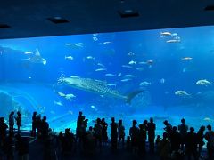 道産子夫婦が行く★台風直後の沖縄本島4泊5日その５・やんばる物産センター