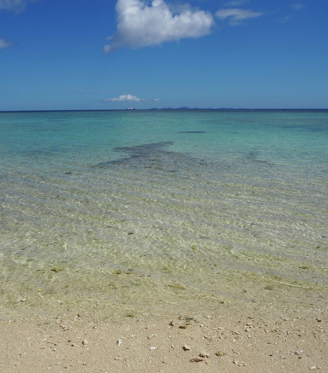 南国のきれいな「白い砂浜、青い海」を夫が見たことがないというので、梅雨明けを狙って沖縄に連れて行くことにしました。<br />航空券はマイルで2ヶ月前に予約(マイレージプラス)。<br />土曜日~火曜日の3泊4日ですが、土曜日は地元で用事があったため最終便での移動になったのでほぼ移動のみ。<br />実質丸三日間、お天気にも恵まれ、沖縄の美しい海を楽しんできました。<br />6/23 羽田→那覇<br />6/24 首里城、今帰仁でシュノーケル<br />6/25 美ら海水族館、備瀬のフクギ並木<br />6/26 今帰仁城、古宇利島、那覇→羽田