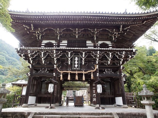 真夏のような炎天下の一日、午後は松尾大社から西国三十三所巡礼の善峯寺へ。<br /><br />見どころたくさんのお寺で京都の町を西側から見下ろしました。